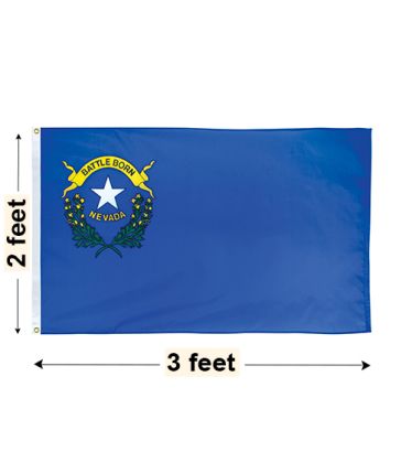 2'x3' Nevada Nylon Outdoor Flag